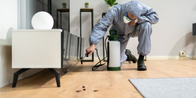 Quanto tempo dura uma dedetização em Caxias do Sul?